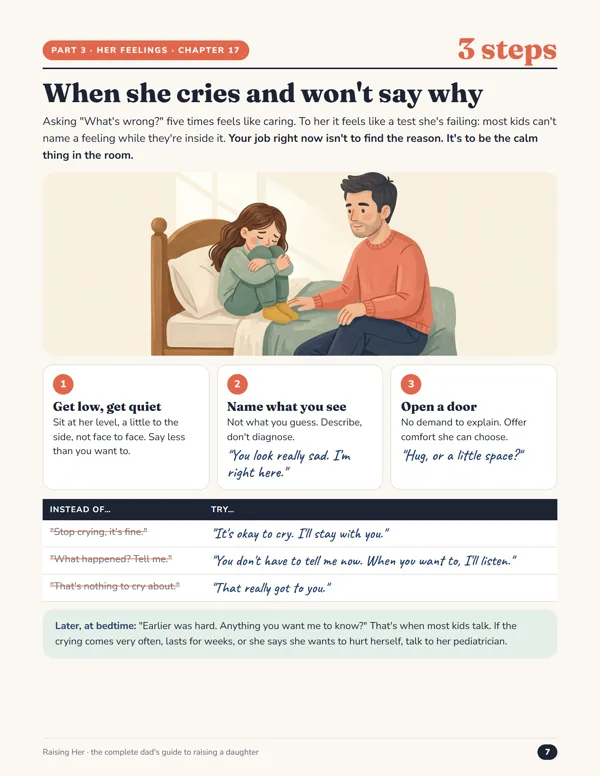 Chapter 17, When she cries and won't say why